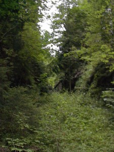 2001.08.08 17.56.41.jpg